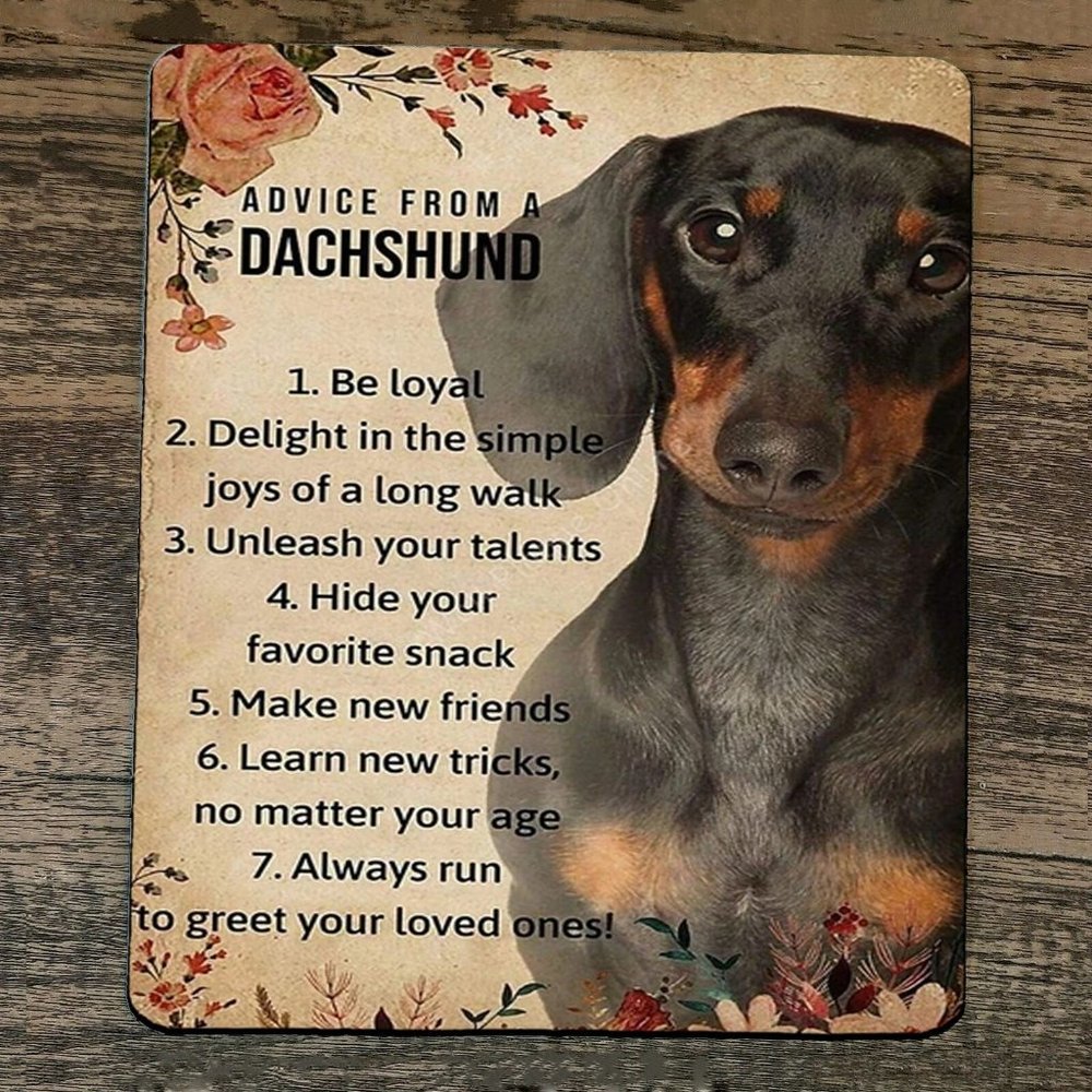 Mouse Pad Advice‎ from a Dachshund Wiener Dog